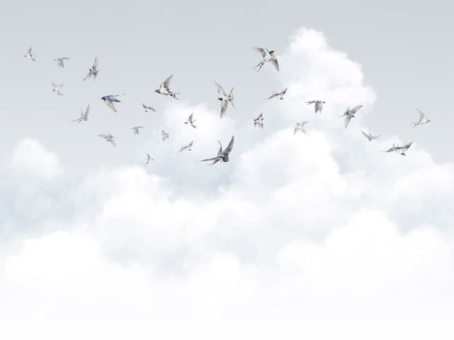 Milassa Ambient vol.3 AM11 006