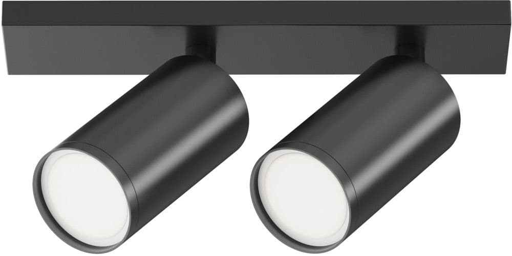 Настенно-потолочный светильник Focus S C051CL-U-2B Maytoni