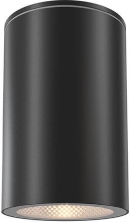 Потолочный светильник уличный Roll O307CL-01B Maytoni