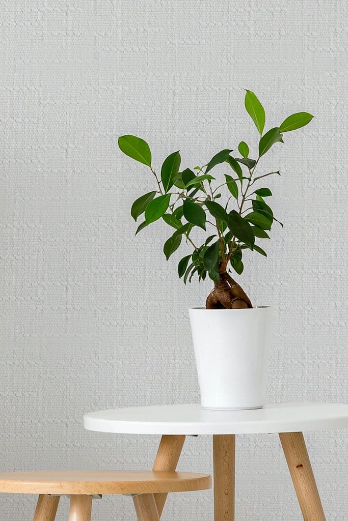 BauTex BauTex Design Tokyo 25 м