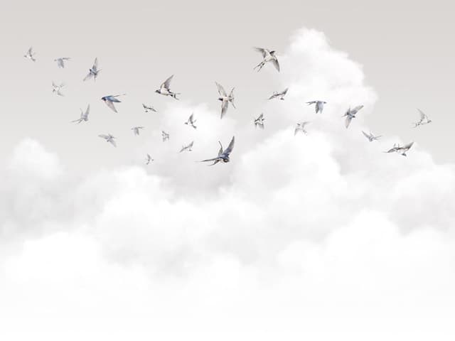 Milassa Ambient vol.3 AM11 011