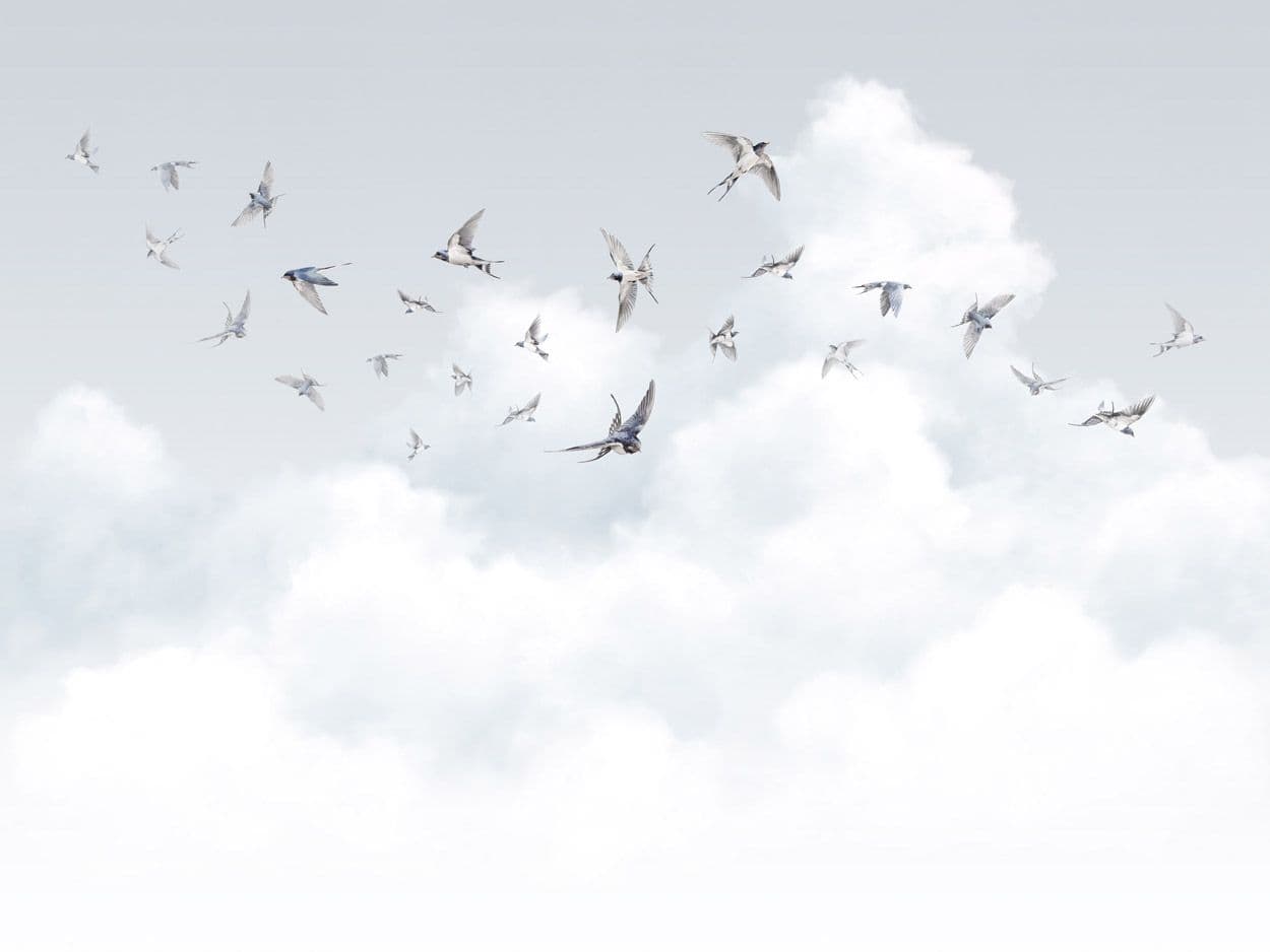 Milassa Ambient vol.3 AM11 006 Milassa Ambient vol.3 AM11 006