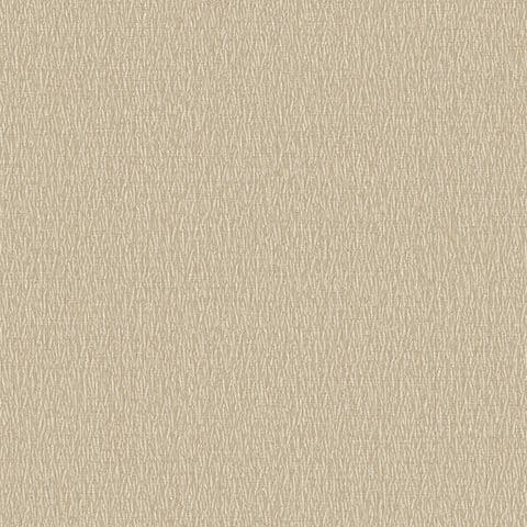 Andrea Rossi Barbana 54285-6 Andrea Rossi Barbana 54285-6